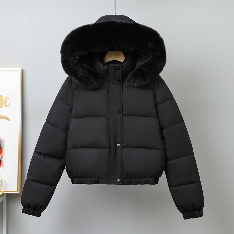 Winter Short Parkas Women's Co - Wool Coat Peacoat recension och pris